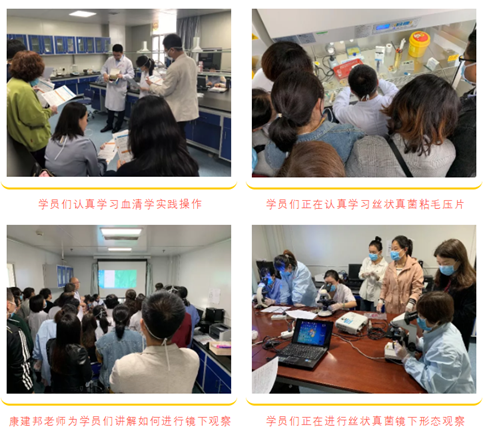 1571216557.png image.png